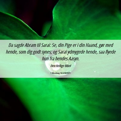 Picture 06 - 1 Mosebog 16:6 DA1871 - Da sagde Abram til Sarai: Se, din Pige er i din - Bible Verse Picture