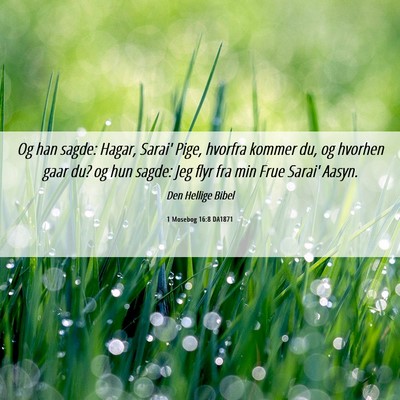Picture 06 - 1 Mosebog 16:8 DA1871 - Og han sagde: Hagar, Sarai' Pige, hvorfra kommer - Bible Verse Picture