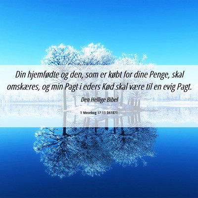 Picture 06 - 1 Mosebog 17:13 DA1871 - Din hjemfødte og den, som er købt for dine - Bible Verse Picture