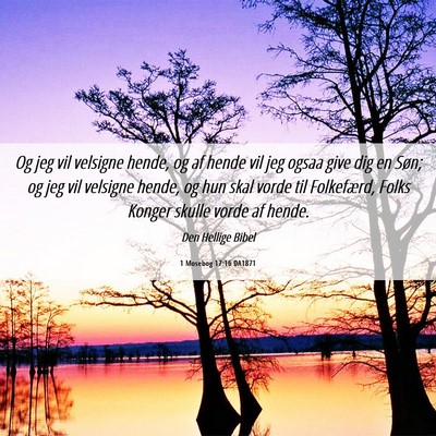 Picture 06 - 1 Mosebog 17:16 DA1871 - Og jeg vil velsigne hende, og af hende vil jeg - Bible Verse Picture