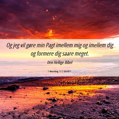 Picture 06 - 1 Mosebog 17:2 DA1871 - Og jeg vil gøre min Pagt imellem mig og imellem - Bible Verse Picture