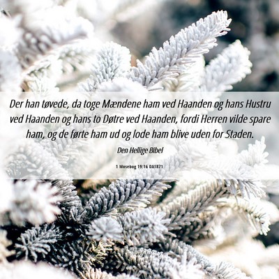 Picture 06 - 1 Mosebog 19:16 DA1871 - Der han tøvede, da toge Mændene ham ved Haanden - Bible Verse Picture