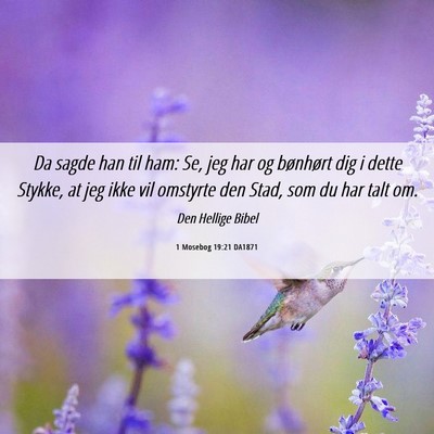 Picture 06 - 1 Mosebog 19:21 DA1871 - Da sagde han til ham: Se, jeg har og bønhørt - Bible Verse Picture