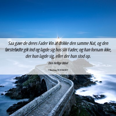 Picture 06 - 1 Mosebog 19:33 DA1871 - Saa gave de deres Fader Vin at drikke den samme - Bible Verse Picture