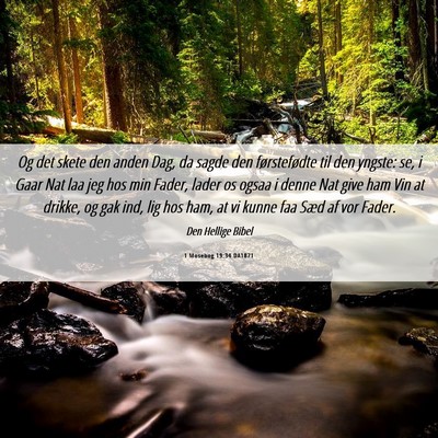 Picture 06 - 1 Mosebog 19:34 DA1871 - Og det skete den anden Dag, da sagde den - Bible Verse Picture