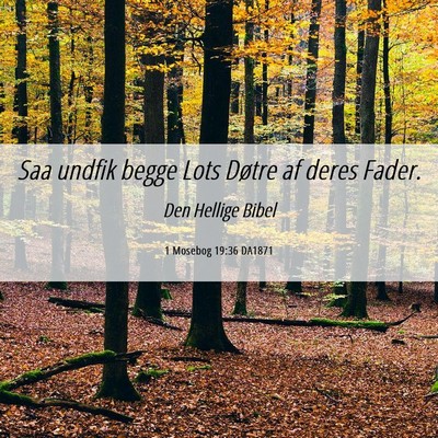 Picture 06 - 1 Mosebog 19:36 DA1871 - Saa undfik begge Lots Døtre af deres - Bible Verse Picture