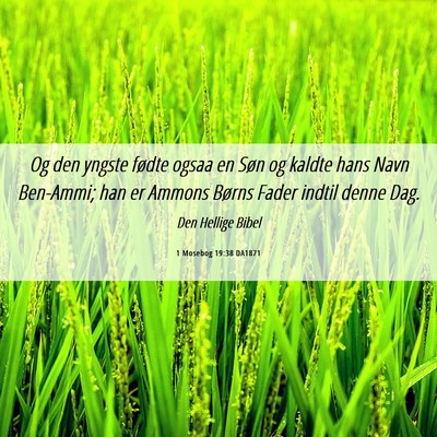 Picture 06 - 1 Mosebog 19:38 DA1871 - Og den yngste fødte ogsaa en Søn og kaldte hans - Bible Verse Picture