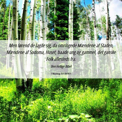 Picture 06 - 1 Mosebog 19:4 DA1871 - Men førend de lagde sig, da omringede Mændene - Bible Verse Picture