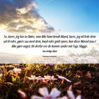 Picture 06 - 1 Mosebog 19:8 DA1871 - Se, kære, jeg har to Døtre, som ikke have kendt - Bible Verse Picture
