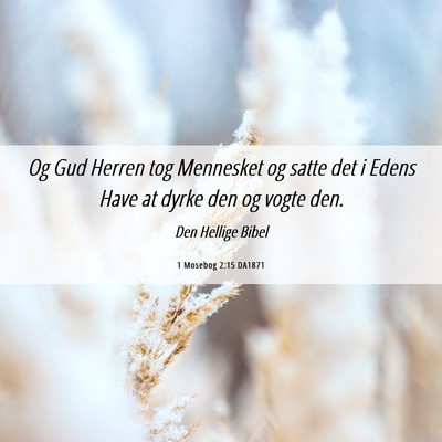 Picture 06 - 1 Mosebog 2:15 DA1871 - Og Gud Herren tog Mennesket og satte det i Edens - Bible Verse Picture
