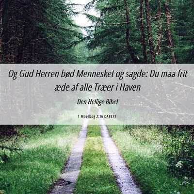 Picture 06 - 1 Mosebog 2:16 DA1871 - Og Gud Herren bød Mennesket og sagde: Du maa - Bible Verse Picture