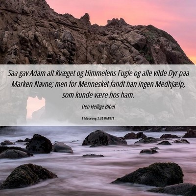 Picture 06 - 1 Mosebog 2:20 DA1871 - Saa gav Adam alt Kvæget og Himmelens Fugle og - Bible Verse Picture