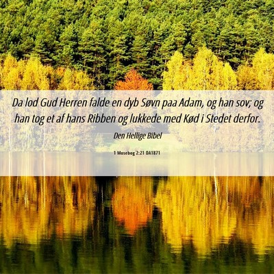 Picture 06 - 1 Mosebog 2:21 DA1871 - Da lod Gud Herren falde en dyb Søvn paa Adam, og - Bible Verse Picture