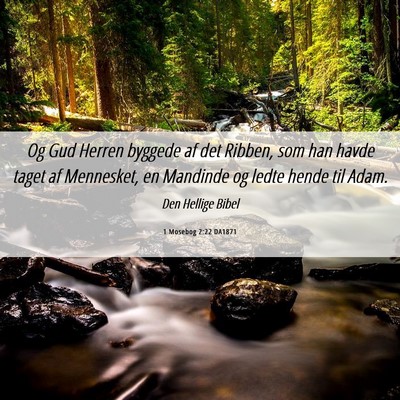 Picture 06 - 1 Mosebog 2:22 DA1871 - Og Gud Herren byggede af det Ribben, som han - Bible Verse Picture