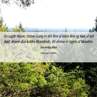 Picture 06 - 1 Mosebog 2:23 DA1871 - Da sagde Adam: Denne Gang er det Ben af mine Ben - Bible Verse Picture