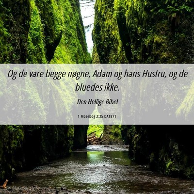 Picture 06 - 1 Mosebog 2:25 DA1871 - Og de vare begge nøgne, Adam og hans Hustru, og - Bible Verse Picture