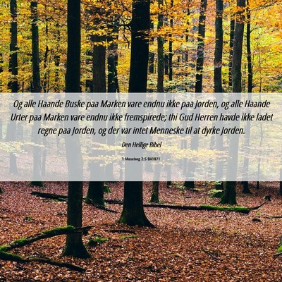 Picture 06 - 1 Mosebog 2:5 DA1871 - Og alle Haande Buske paa Marken vare endnu ikke - Bible Verse Picture
