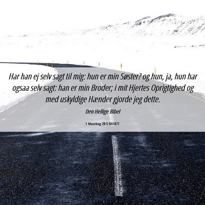 Picture 06 - 1 Mosebog 20:5 DA1871 - Har han ej selv sagt til mig: hun er min Søster? - Bible Verse Picture