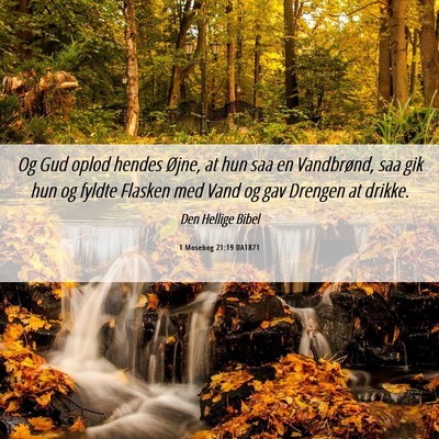 Picture 06 - 1 Mosebog 21:19 DA1871 - Og Gud oplod hendes Øjne, at hun saa en - Bible Verse Picture