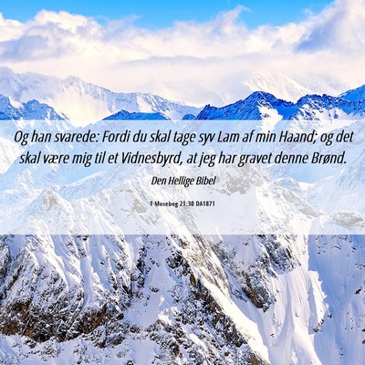 Picture 06 - 1 Mosebog 21:30 DA1871 - Og han svarede: Fordi du skal tage syv Lam af min - Bible Verse Picture