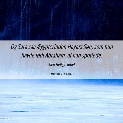 Picture 06 - 1 Mosebog 21:9 DA1871 - Og Sara saa Ægypterinden Hagars Søn, som hun - Bible Verse Picture