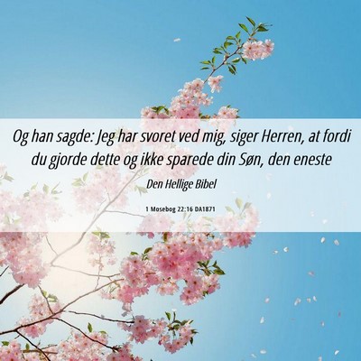 Picture 06 - 1 Mosebog 22:16 DA1871 - Og han sagde: Jeg har svoret ved mig, siger - Bible Verse Picture