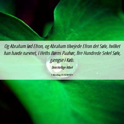 Picture 06 - 1 Mosebog 23:16 DA1871 - Og Abraham lød Efron, og Abraham tilvejede Efron - Bible Verse Picture