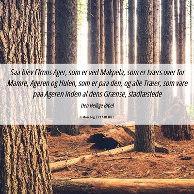 Picture 06 - 1 Mosebog 23:17 DA1871 - Saa blev Efrons Ager, som er ved Makpela, som er - Bible Verse Picture