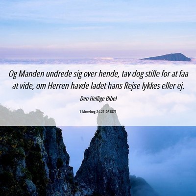 Picture 06 - 1 Mosebog 24:21 DA1871 - Og Manden undrede sig over hende, tav dog stille - Bible Verse Picture