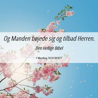 Picture 06 - 1 Mosebog 24:26 DA1871 - Og Manden bøjede sig og tilbad - Bible Verse Picture