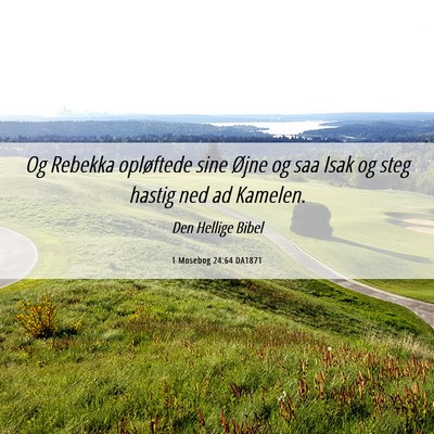 Picture 06 - 1 Mosebog 24:64 DA1871 - Og Rebekka opløftede sine Øjne og saa Isak og - Bible Verse Picture