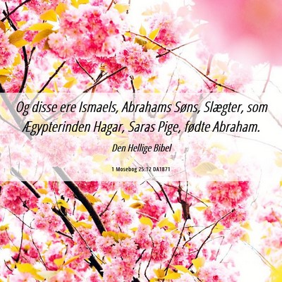 Picture 06 - 1 Mosebog 25:12 DA1871 - Og disse ere Ismaels, Abrahams Søns, Slægter, - Bible Verse Picture