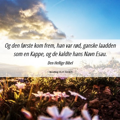 Picture 06 - 1 Mosebog 25:25 DA1871 - Og den første kom frem, han var rød, ganske - Bible Verse Picture