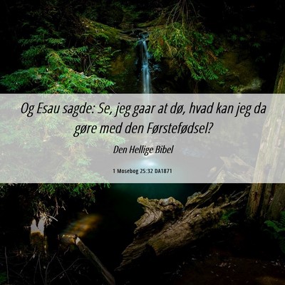 Picture 06 - 1 Mosebog 25:32 DA1871 - Og Esau sagde: Se, jeg gaar at dø, hvad kan jeg - Bible Verse Picture