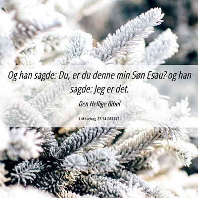 Picture 06 - 1 Mosebog 27:24 DA1871 - Og han sagde: Du, er du denne min Søn Esau? og - Bible Verse Picture