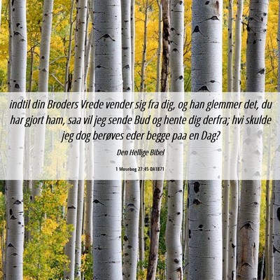 Picture 06 - 1 Mosebog 27:45 DA1871 - indtil din Broders Vrede vender sig fra dig, og - Bible Verse Picture