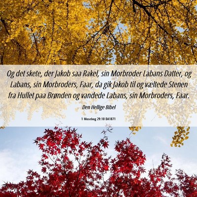 Picture 06 - 1 Mosebog 29:10 DA1871 - Og det skete, der Jakob saa Rakel, sin Morbroder - Bible Verse Picture