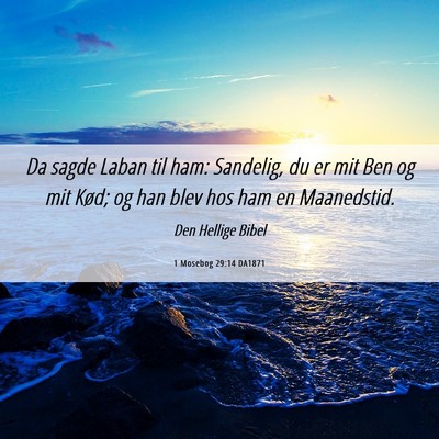 Picture 06 - 1 Mosebog 29:14 DA1871 - Da sagde Laban til ham: Sandelig, du er mit Ben - Bible Verse Picture