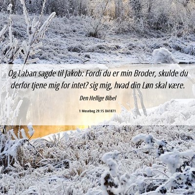 Picture 06 - 1 Mosebog 29:15 DA1871 - Og Laban sagde til Jakob: Fordi du er min Broder, - Bible Verse Picture