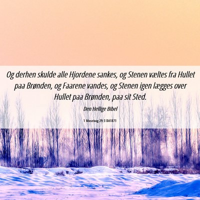 Picture 06 - 1 Mosebog 29:3 DA1871 - Og derhen skulde alle Hjordene sankes, og Stenen - Bible Verse Picture