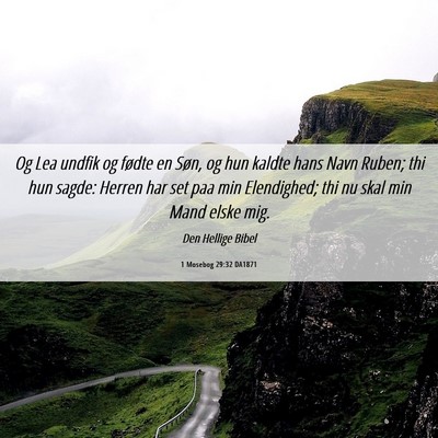 Picture 06 - 1 Mosebog 29:32 DA1871 - Og Lea undfik og fødte en Søn, og hun kaldte - Bible Verse Picture