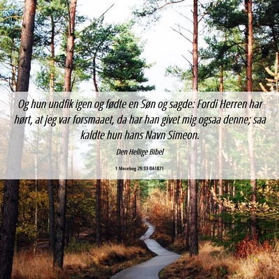 Picture 06 - 1 Mosebog 29:33 DA1871 - Og hun undfik igen og fødte en Søn og sagde: - Bible Verse Picture