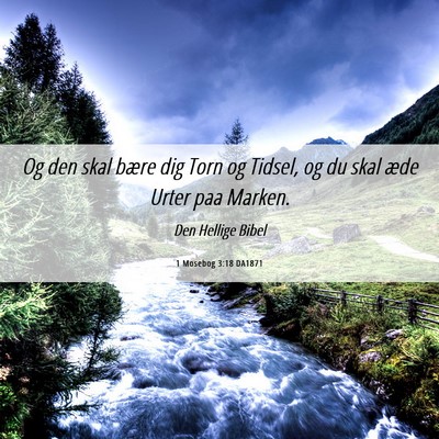 Picture 06 - 1 Mosebog 3:18 DA1871 - Og den skal bære dig Torn og Tidsel, og du skal - Bible Verse Picture