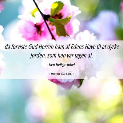 Picture 06 - 1 Mosebog 3:23 DA1871 - da forviste Gud Herren ham af Edens Have til at - Bible Verse Picture