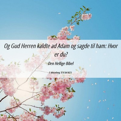 Picture 06 - 1 Mosebog 3:9 DA1871 - Og Gud Herren kaldte ad Adam og sagde til ham: - Bible Verse Picture