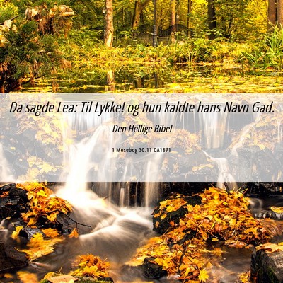 Picture 06 - 1 Mosebog 30:11 DA1871 - Da sagde Lea: Til Lykke! og hun kaldte hans Navn - Bible Verse Picture