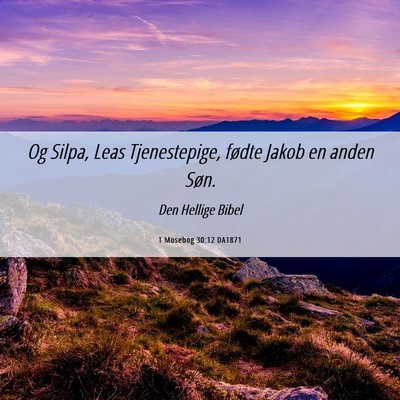 Picture 06 - 1 Mosebog 30:12 DA1871 - Og Silpa, Leas Tjenestepige, fødte Jakob en - Bible Verse Picture