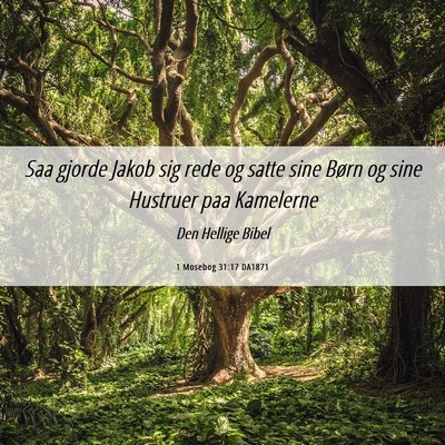 Picture 06 - 1 Mosebog 31:17 DA1871 - Saa gjorde Jakob sig rede og satte sine Børn og - Bible Verse Picture