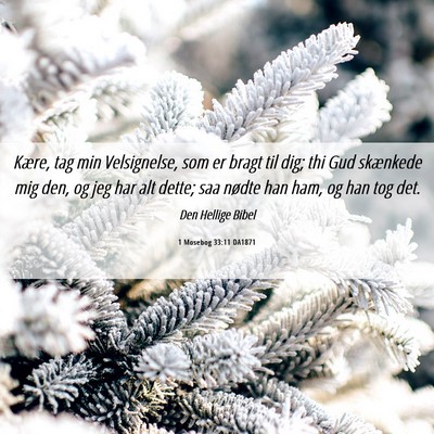 Picture 06 - 1 Mosebog 33:11 DA1871 - Kære, tag min Velsignelse, som er bragt til dig; - Bible Verse Picture