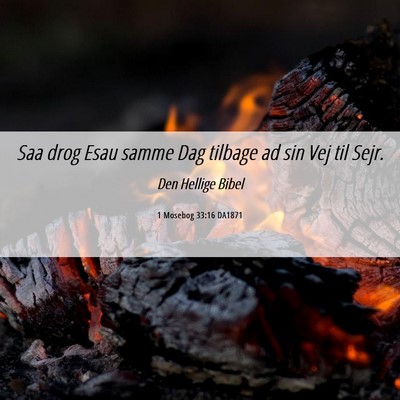 Picture 06 - 1 Mosebog 33:16 DA1871 - Saa drog Esau samme Dag tilbage ad sin Vej til - Bible Verse Picture